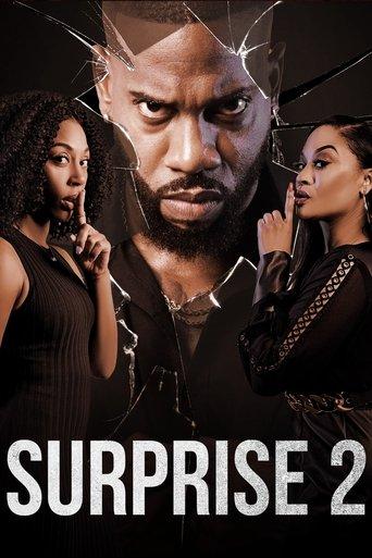 Surprise 2 film afişi