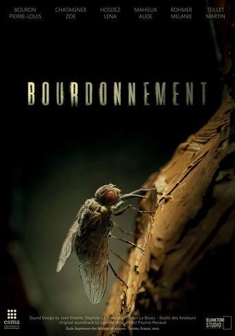 Bourdonnement film afişi