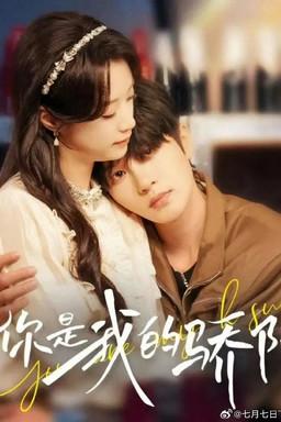 你是我的骄阳 dizi afişi