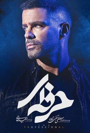 The Professional dizi afişi