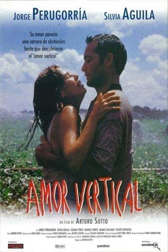 Vertical Love film afişi