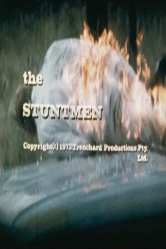 The Stuntmen film afişi