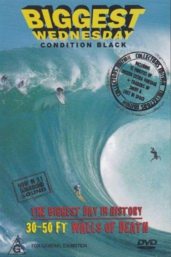 Biggest Wednesday film afişi