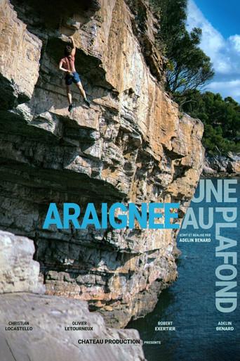 Une Araignée au Plafond film afişi