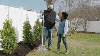 Planting Arborvitaes, Storage Rack