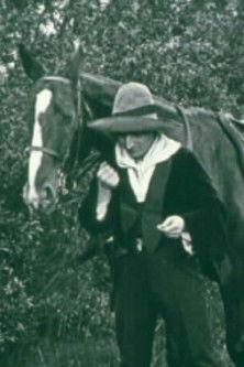 A Telegram from Mexico film afişi