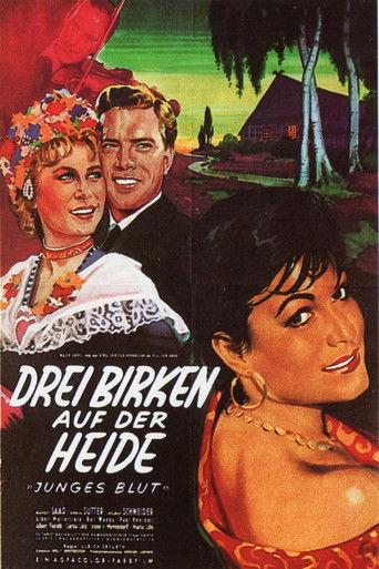 Drei Birken auf der Heide film afişi