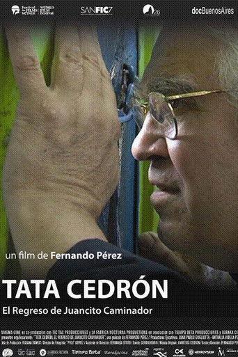 Tata Cedrón, el regreso de Juancito Caminador film afişi