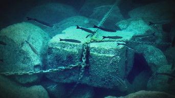 The Quest for Lost Treasures