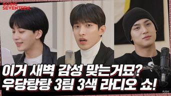 SEVENTEEN GOING Radio Show #1