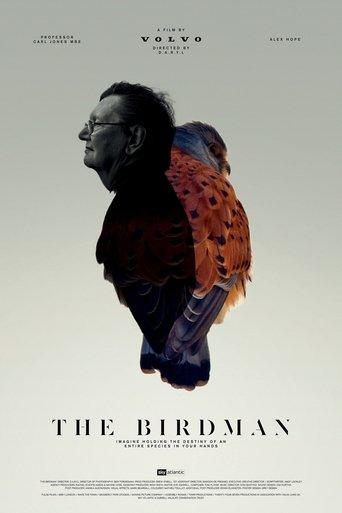 The Birdman film afişi