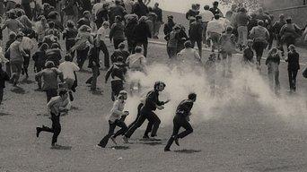 Why Are We Even Here?