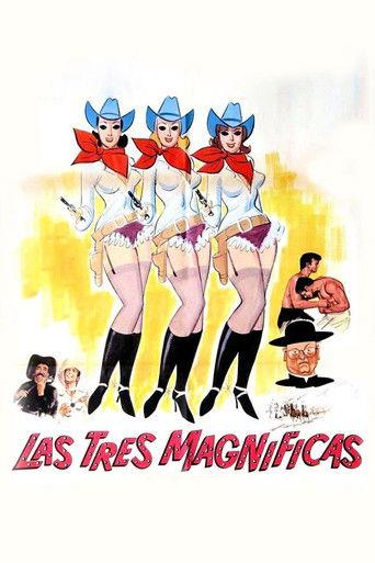 Las tres magnificas film afişi