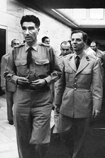 Demirkırat: Coup film afişi