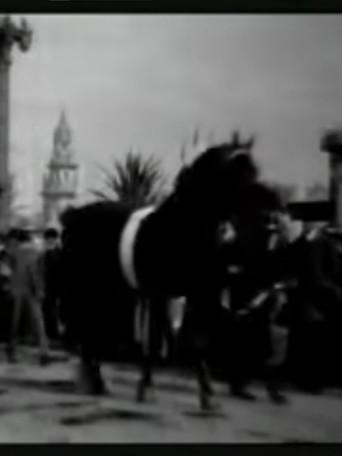 Horse Parade at the Pan-American Exposition film afişi