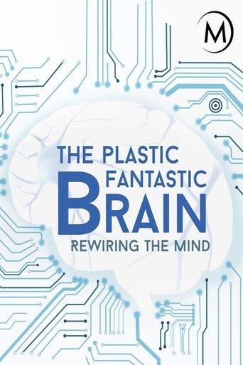 Plastic Fantastic Brain dizi afişi