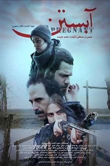 Pregnant film afişi