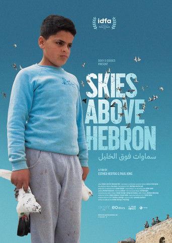 Skies Above Hebron film afişi