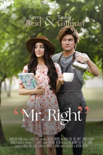 Mr. Right film afişi