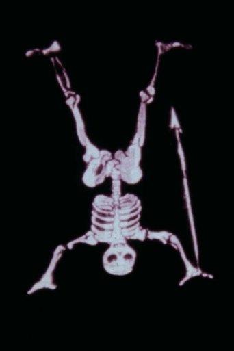 Magic Lanterns film afişi