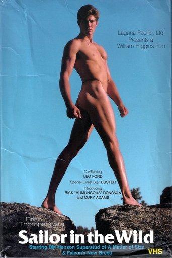 Sailor in the Wild film afişi