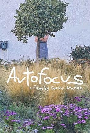 Autofocus film afişi