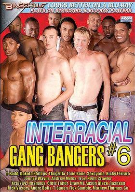 Interracial Gang Bangers 6 film afişi
