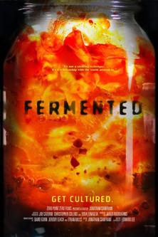 Fermented film afişi