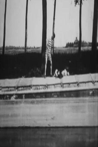 Impossible To Get a Plunge film afişi