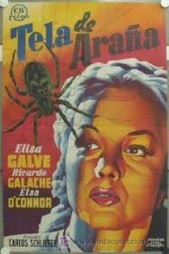 The Mysterious Uncle Silas film afişi