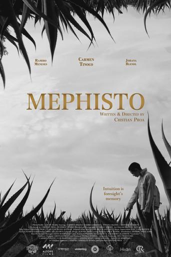 Mephisto film afişi