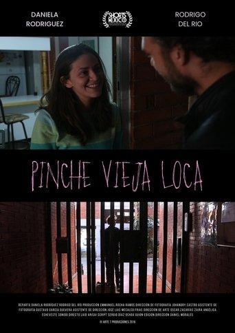 Pinche Vieja Loca film afişi