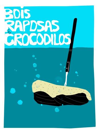 Bois, Raposas & Crocodilos film afişi