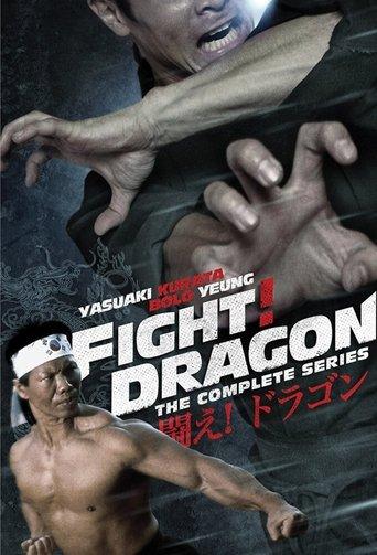 Fight! Dragon! dizi afişi