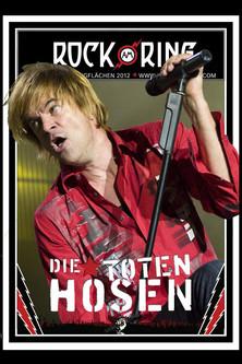 Die Toten Hosen - Rock am Ring film afişi