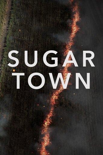 Sugar Town film afişi