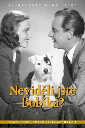 Neviděli jste Bobíka? film afişi