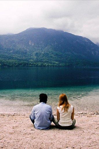 We've Never Been to Venice film afişi