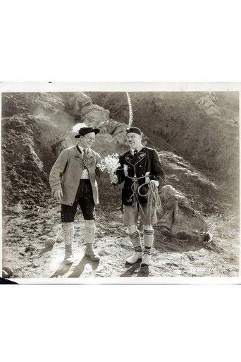 In Holland film afişi