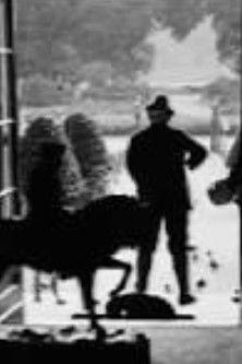 Some of the Life of Our Emperor in Doorn film afişi