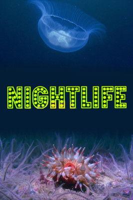 Nightlife film afişi