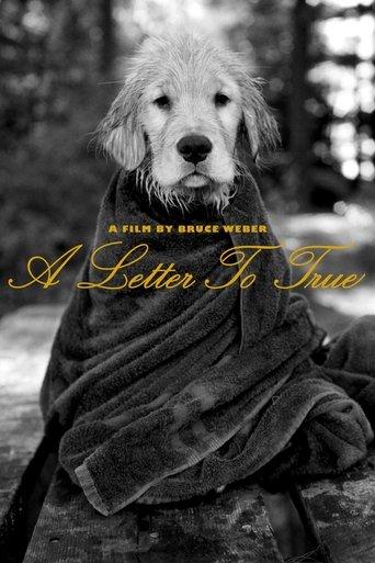 A Letter to True film afişi