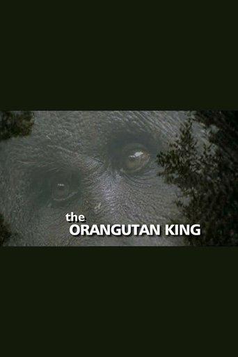 The Orangutan King film afişi