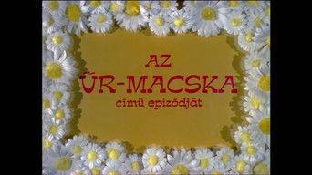 Az űr-macska