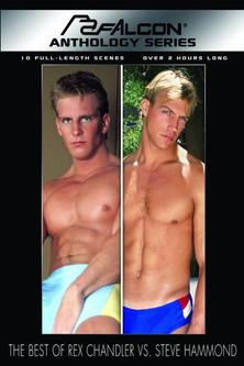 The Best of Rex Chandler vs. Steve Hammond film afişi