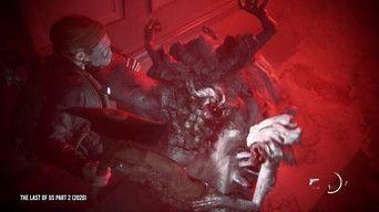 Cursed and Controversial