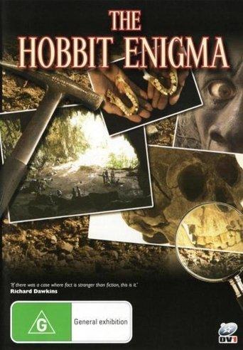 The Hobbit Enigma film afişi