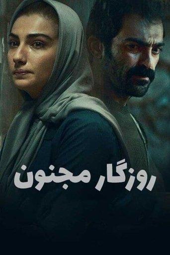 Crazy times film afişi