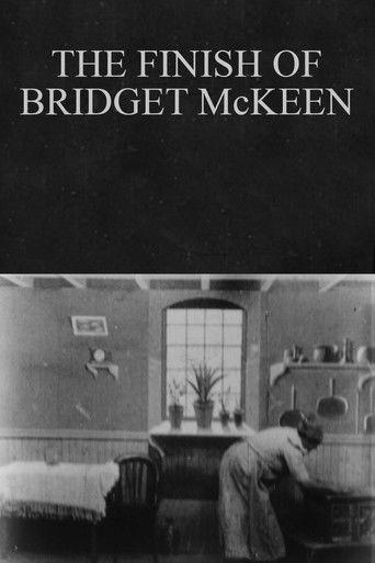 The Finish of Bridget McKeen film afişi