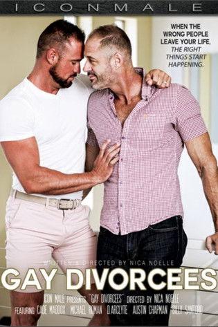 Gay Divorcees film afişi